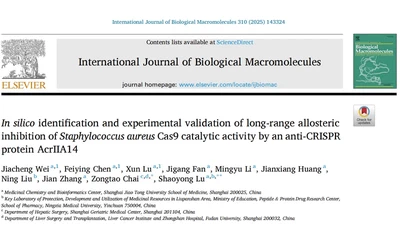 In silico Identification and Experimental Validation of Long-range Allosteric Inhibition of Staphylococcus aureus Cas9 by Anti-CRISPR Protein AcrIIA14 featured image